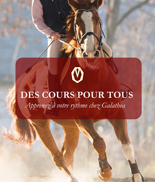 mockup-logo-cheval-abstrait-minimaliste